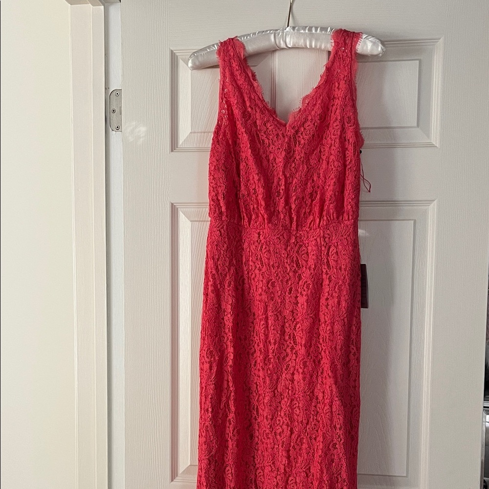 Deal of the day! NWT Adrianna Papell dress. Size 4. $25